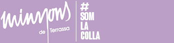 Colla Castellera Minyons de Terrassa, tots els drets reservats's logo Colla Castellera Minyons de Terrassa, tots els drets reservats's Company logo