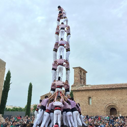 Resultat d'imatges de minyons de ter
